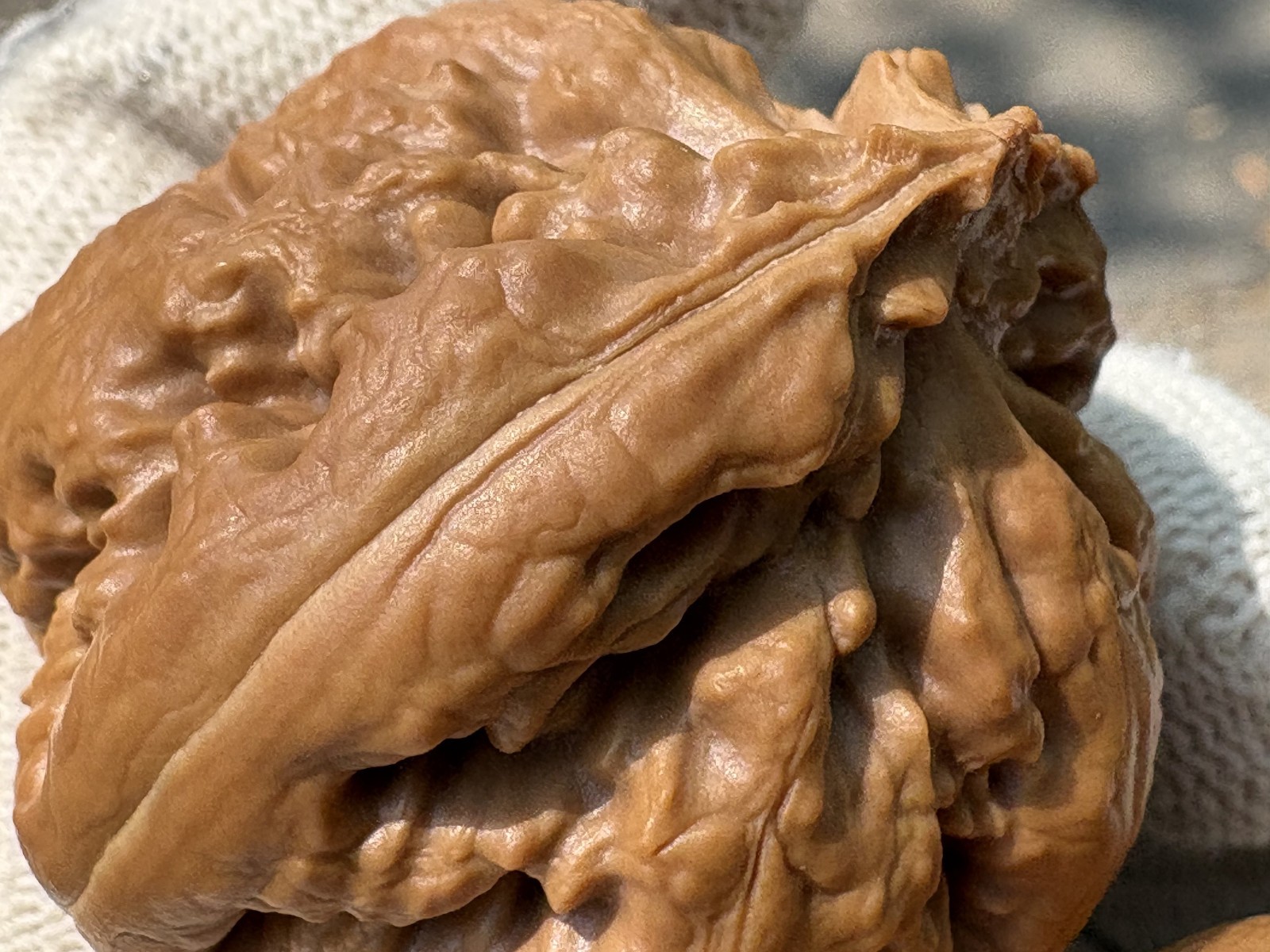 Hand Massage ball Wenwan walnut T-rex Thick Ridge Ba Wang Long Qiu Zi