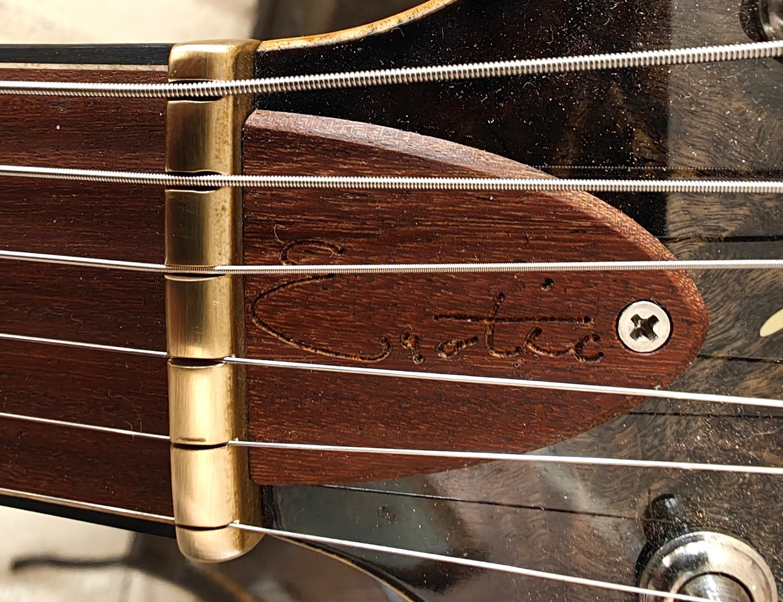 Fibenare Erotic Dalmat Single Cut Charcoal | Boutique Handmade Electric Guitar