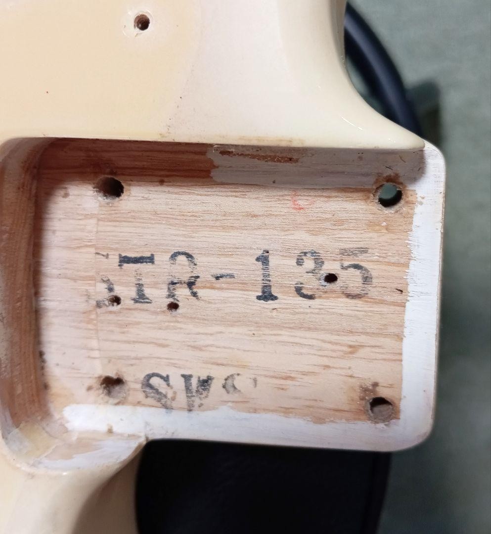 Rare Fender Japan Richie Kotzen Model