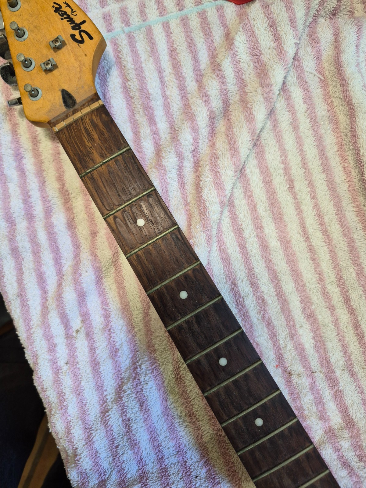 Squier Stratocaster • Bullet® Strat® with Tremolo, Rosewood Fingerboard. Nice!