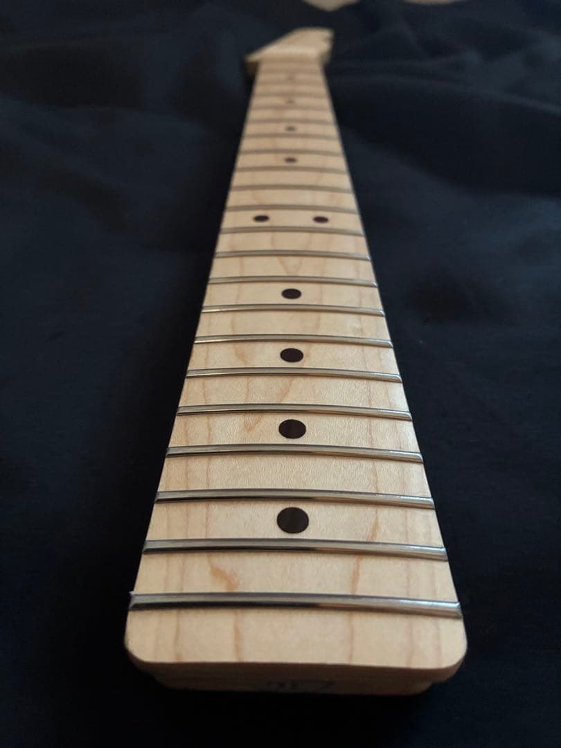 Telecaster maple fingerboard (No. 71) Nature color nitro satin painting