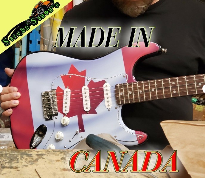 Guitar Skin Axe Wrap Re-skin Bass Reface Jurassic Park Dinosaur Reflection GS080