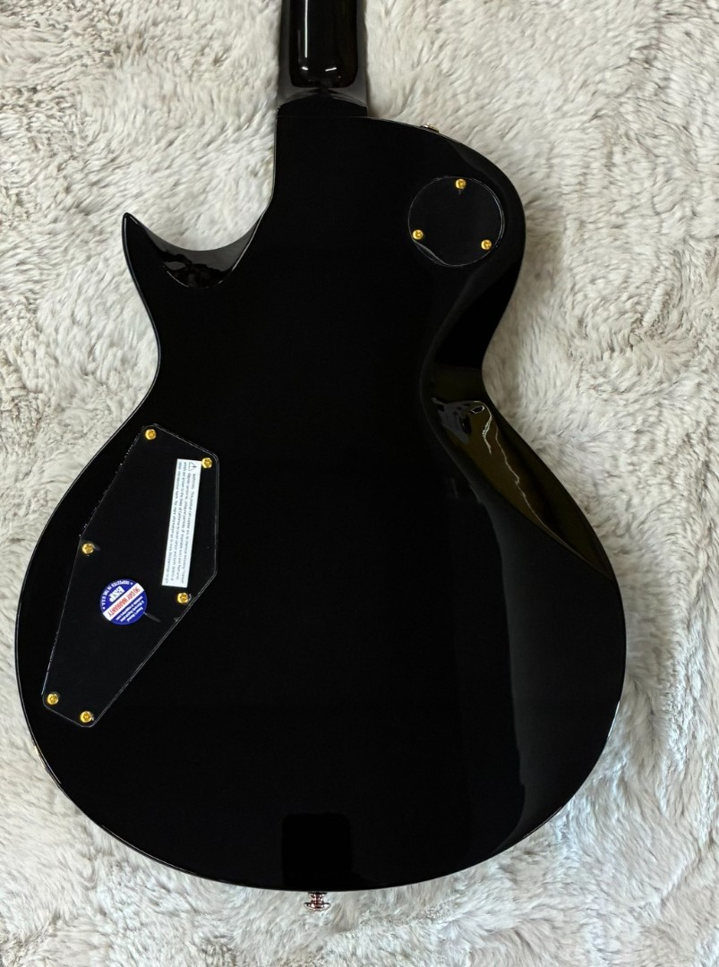 LTD by ESP Model EC-256 Gloss Black Finish Single Cutaway Electric Guitar