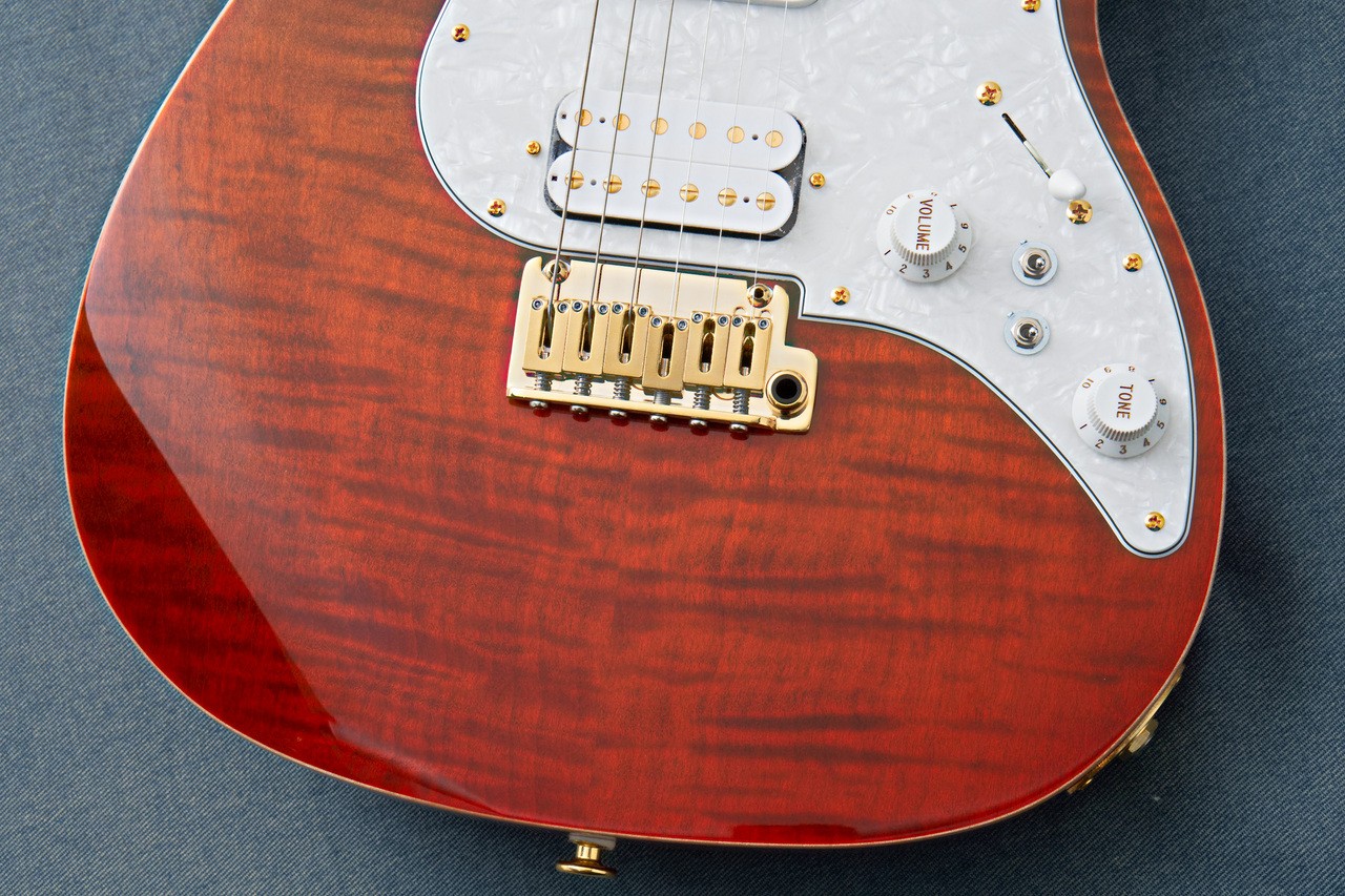 FUJIGEN(FGN) EOS2-FM-R -Ripe Kaki Gradation- RKG 3.75kg Made in Japan #GG1g1