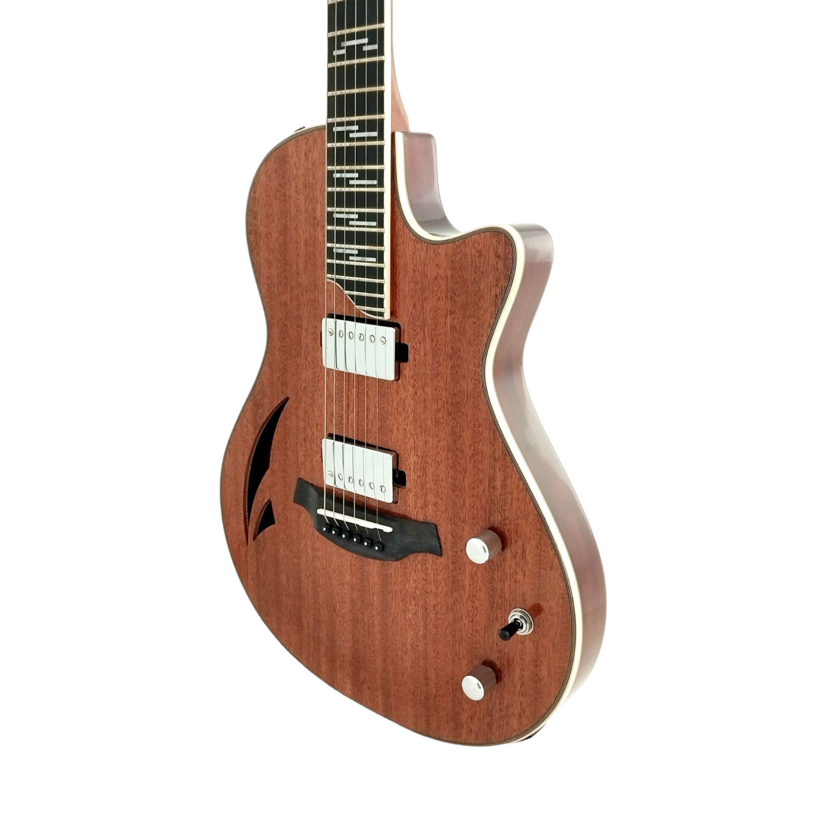 The Swiss Army Knife of Hybird Electric-Acoustic Guitars MULTISPECIALIST2