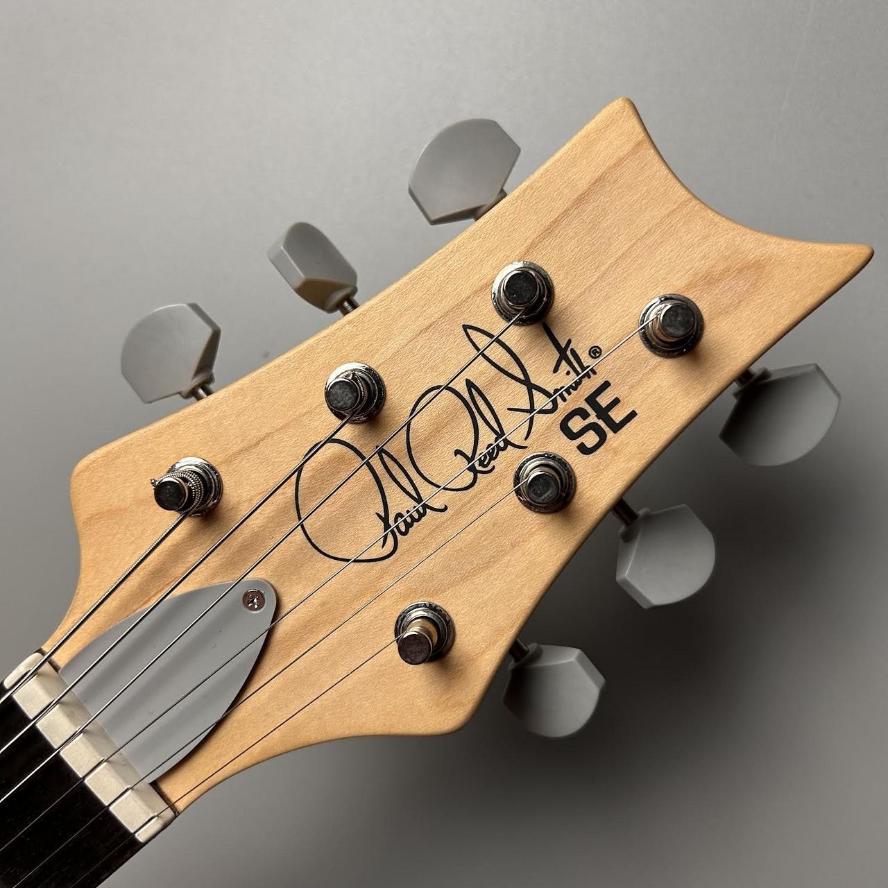 Paul Reed Smith(PRS) 3.50kg SE Silver Sky Stone Blue #GGash