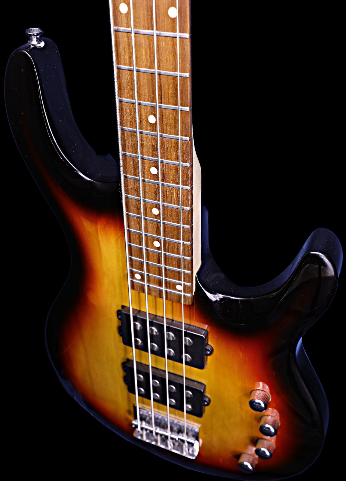 Wolf Guitars Australia -Moonray 4 – Pro-Luthier Set-Up Hard Case