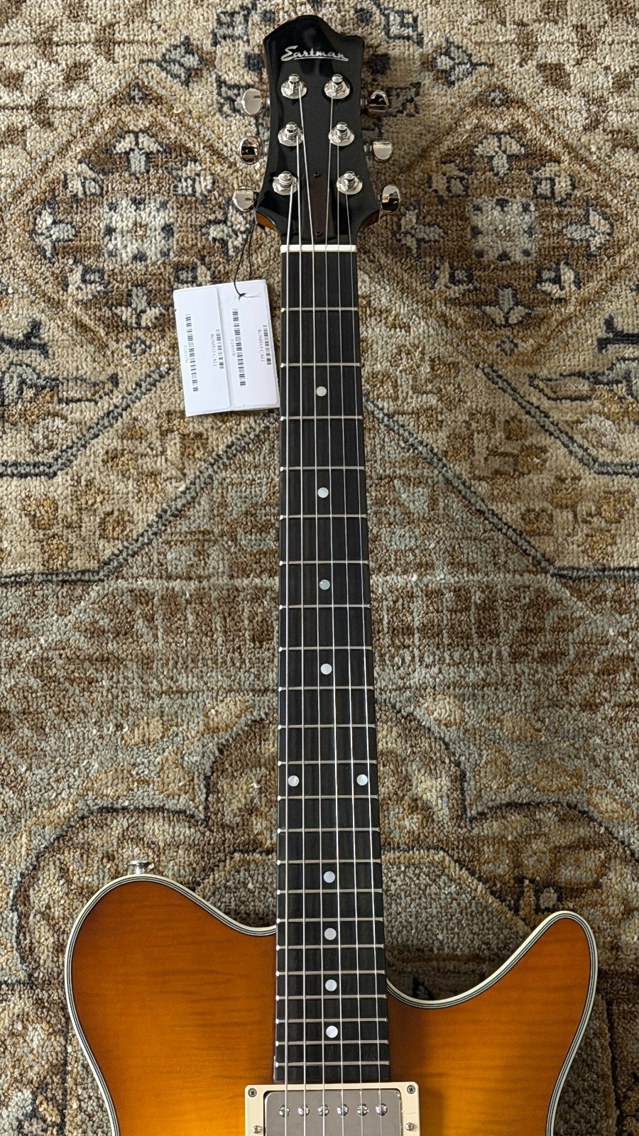 Eastman Romeo-California w/ Bare Knuckle Pickups Thinline w/ Case & Pro Setup!