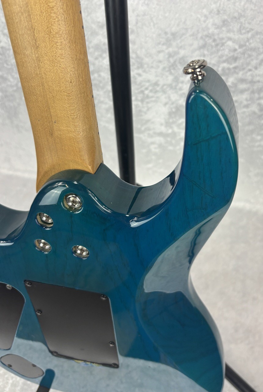 Ed Roman Scorpion Picasso electric guitar with case
