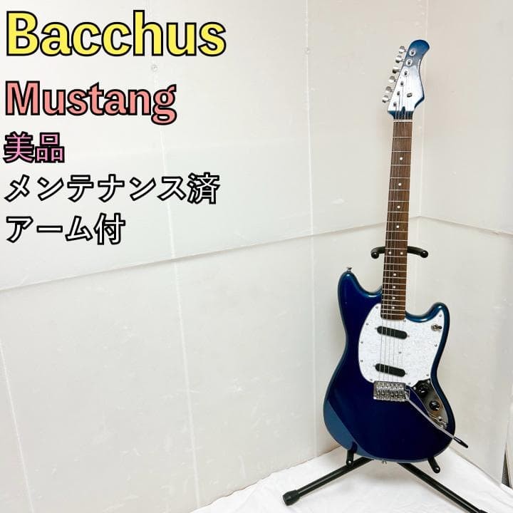 Bacchus Mustang Mustang navy blue navy Safe Packing!