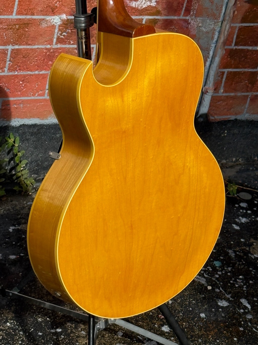 1961 Gibson ES-175DN ultra rare & clean Blonde w/2 PAF pickups w/wide flat neck.