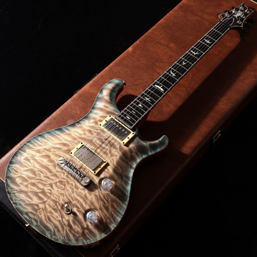 Paul Reed Smith 2008 Private Stock #2042 Custom 22 Glacier Blue [142387]