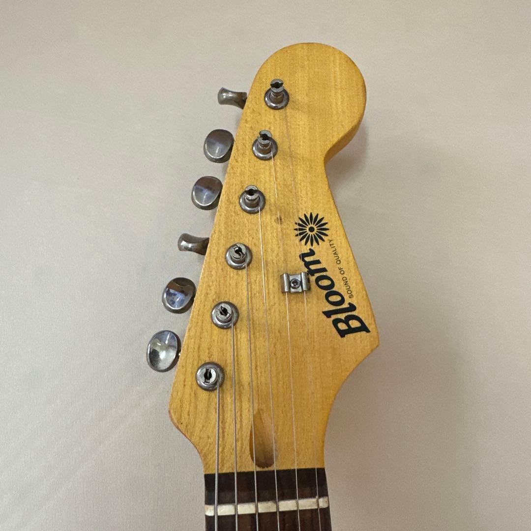 Bloom Stratocasterelectric Guitar Aria Strap 31