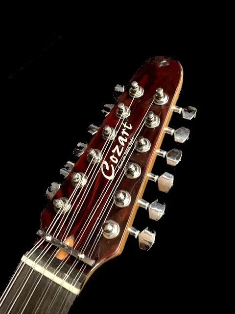 GREAT PLAYING NEW 12 STRING ACOUSTIC RESONATOR DOBRO GUITAR