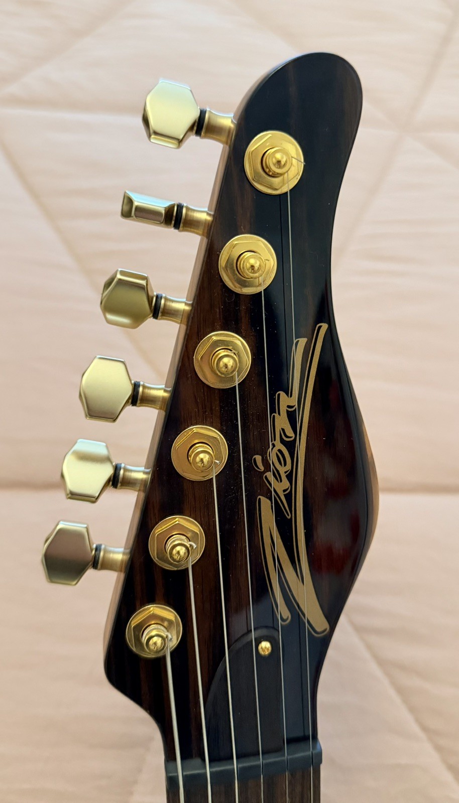 Zion guitar