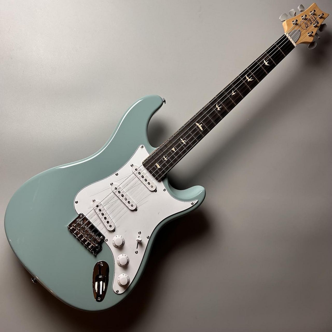 Paul Reed Smith(PRS) 3.50kg SE Silver Sky Stone Blue #GGash