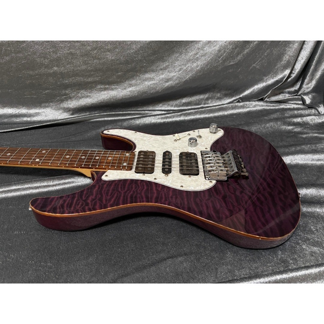 Domestic limited model SCHECTER SD-2-24 MH shop order