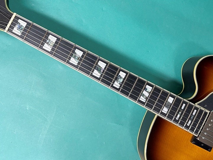 Ibanez AFV105-RAF