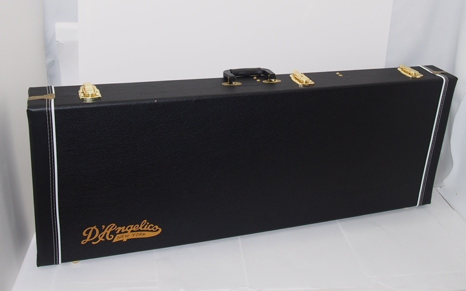 D’Angelico Deluxe Brighton Electric Guitar Wg5180 With Hard Case No.YG878