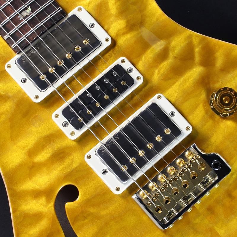 Paul Reed Smith(PRS) Wood Library Special Semi-Hollow (Honey Gold) #25 0402029