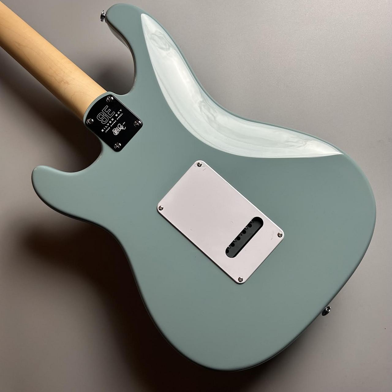 Paul Reed Smith(PRS) 3.50kg SE Silver Sky Stone Blue #GGash