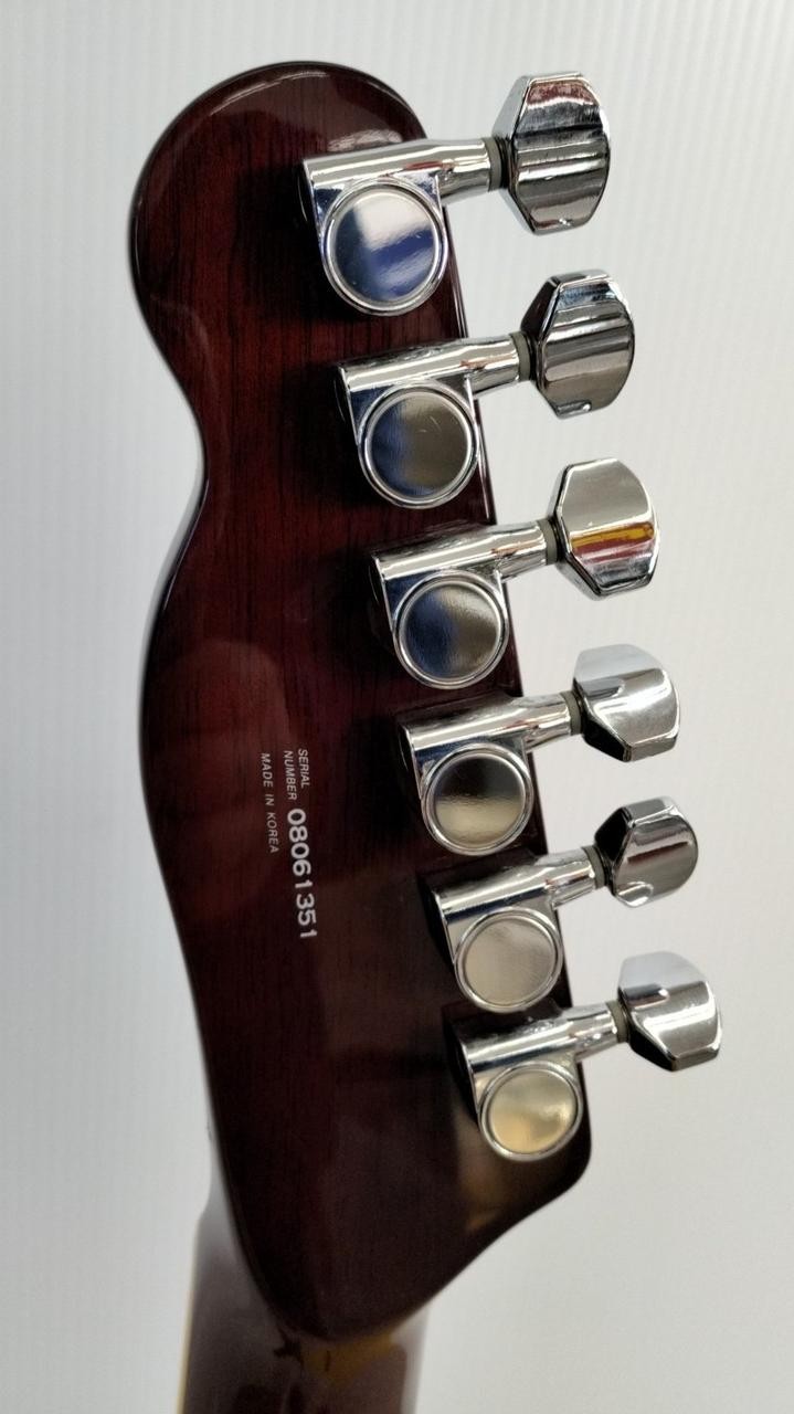 Fender Spalted Maple Telecaster Electric Guitar W/Gig Bag Shipping From Japan
