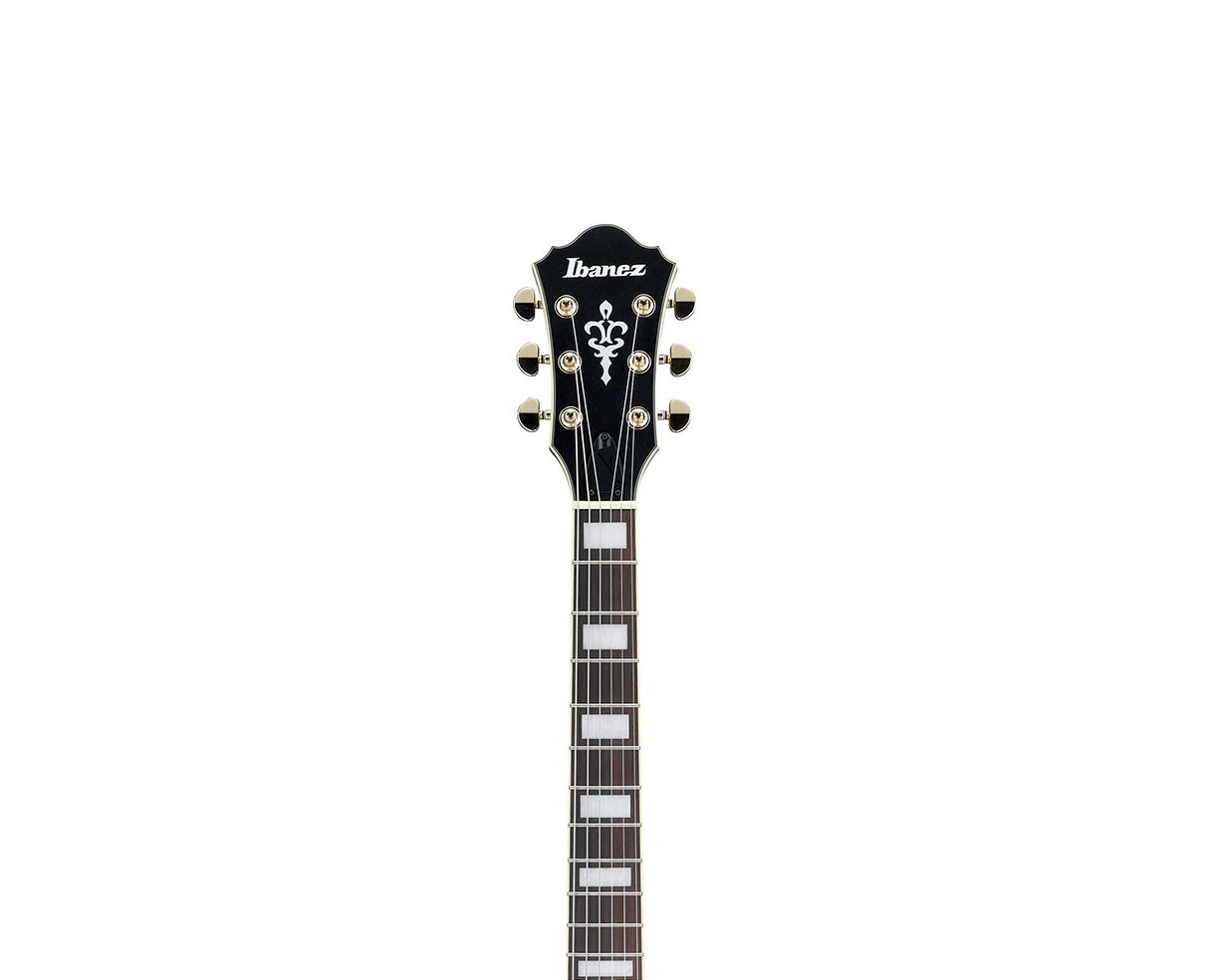 Ibanez AF75G-BKF Artcore Hollowbody Electric Guitar – Black Flat