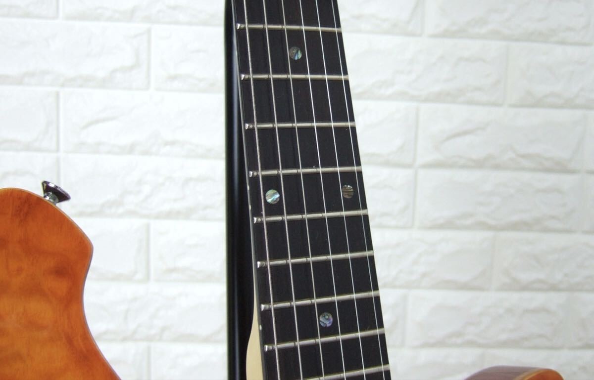 MD MM-PRODUCE MD-G4 Semi-Hollow Body Electric Guitar High End