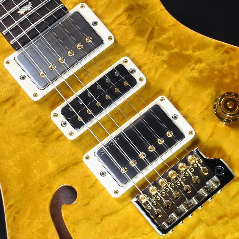 Paul Reed Smith(PRS) Wood Library Special Semi-Hollow (Honey Gold) #25 0402026