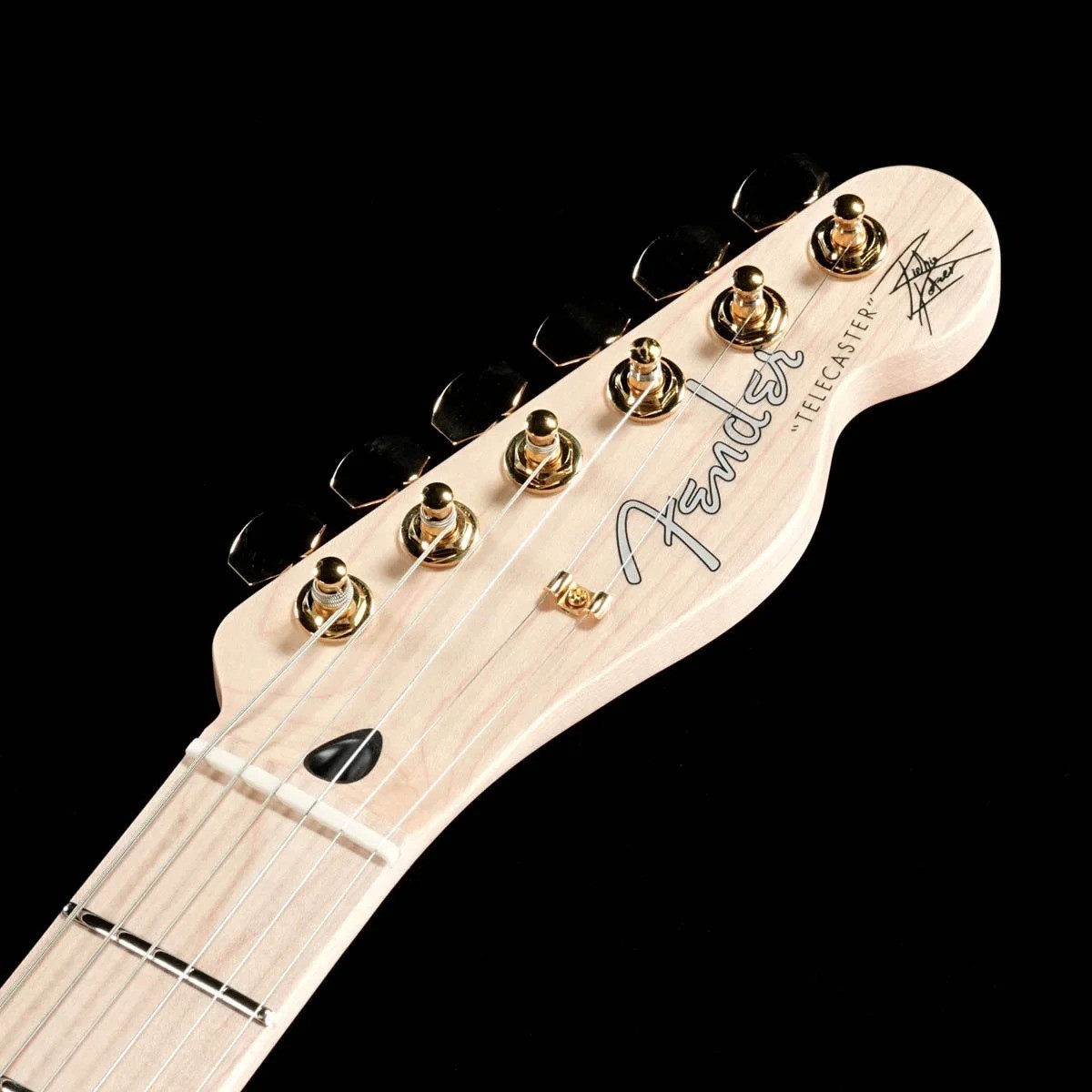 Fender Richie Kotzen Telecaster Brown Sunburst MIJ Ash HS DiMarzio Gold Gig Bag