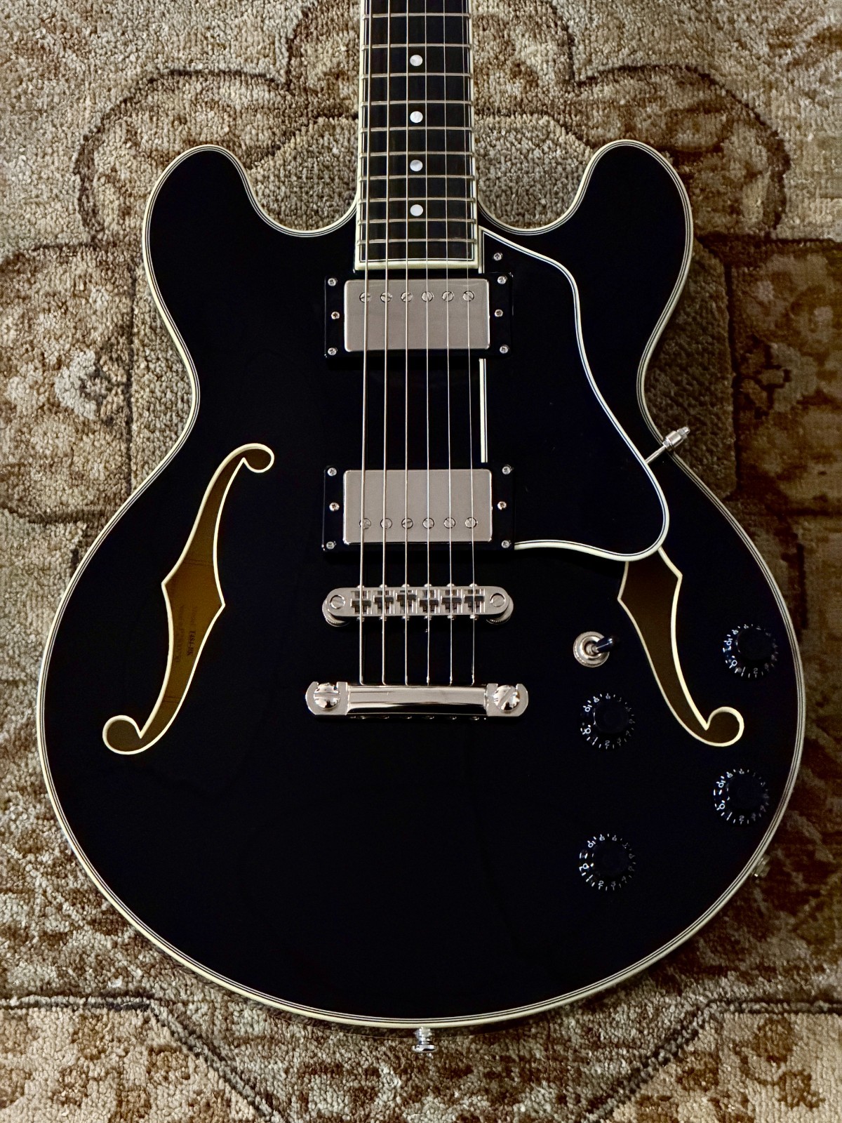 Eastman T484-BK 14″ Archtop Thinline Deluxe Electric w/ Hard Case & Free Setup