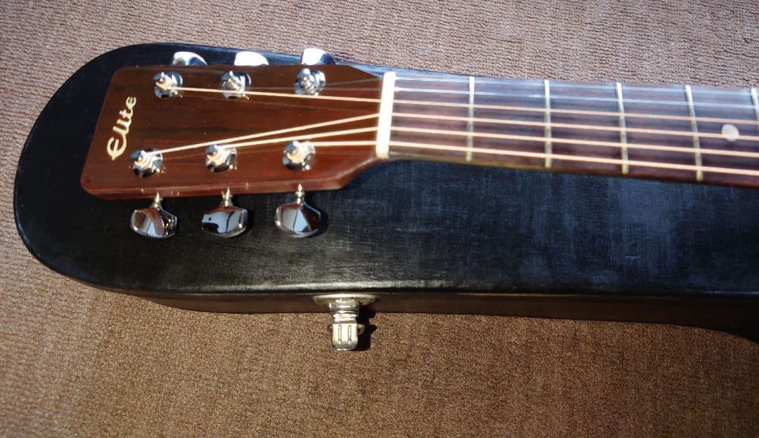 takamine Elite tw-30 acoustic guitar with hard case