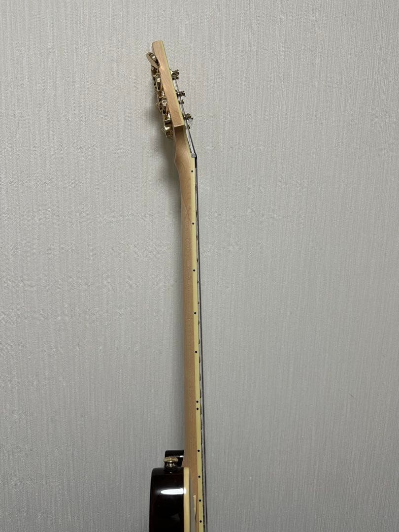 Schecter Omen Extreme-6 Gnat Electric Guitar Mahogany Maple Rosewood 648mm