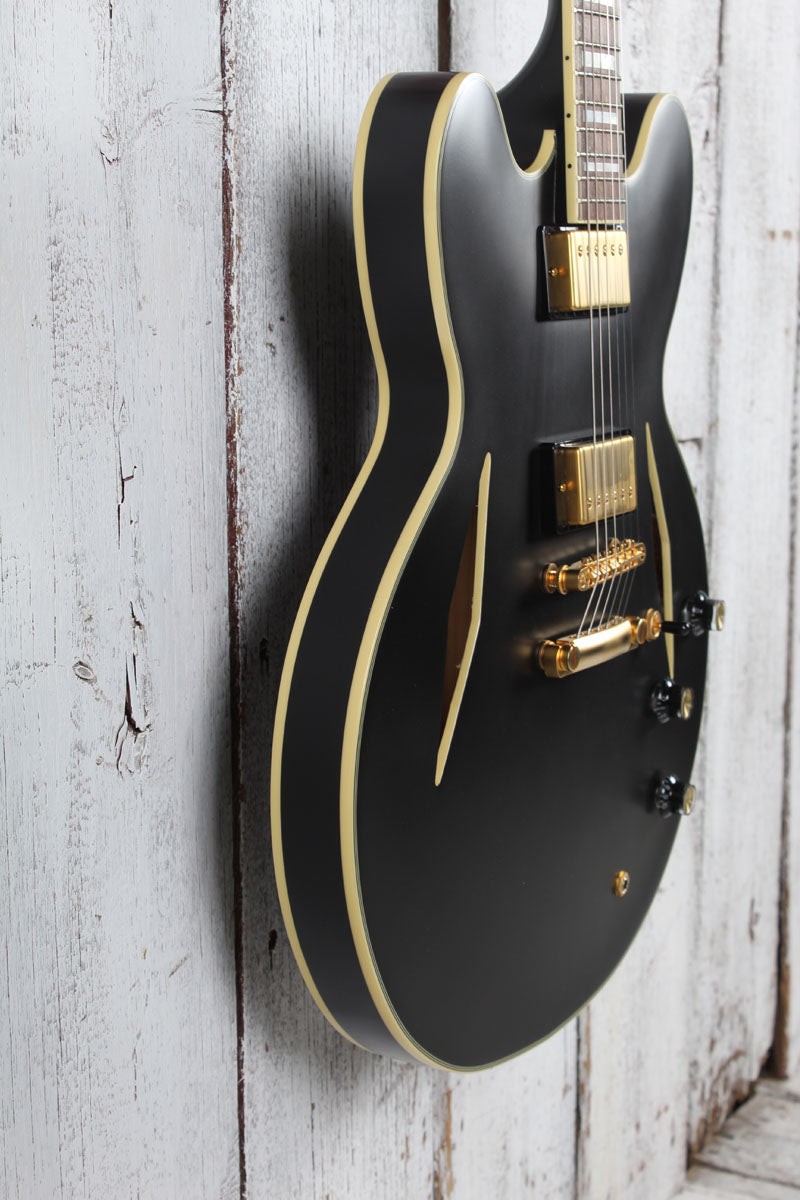Epiphone Emily Wolfe Sheraton Stealth Electric Guitar with EpiLite Case