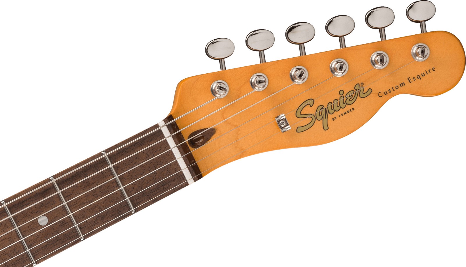 Squier Classic Vibe Custom Esquire Electric Guitar, Laurel FB, Sherwood Green