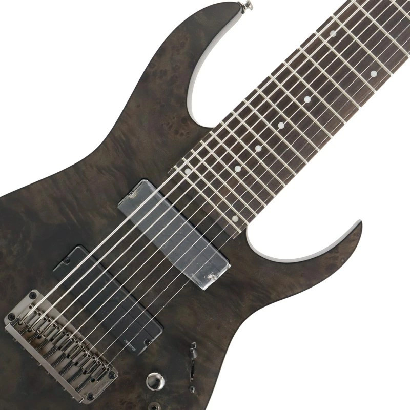 Ibanez RG9PB-TGF Transparent Gray Flat Ax Design Lab with gig bag 9-string model