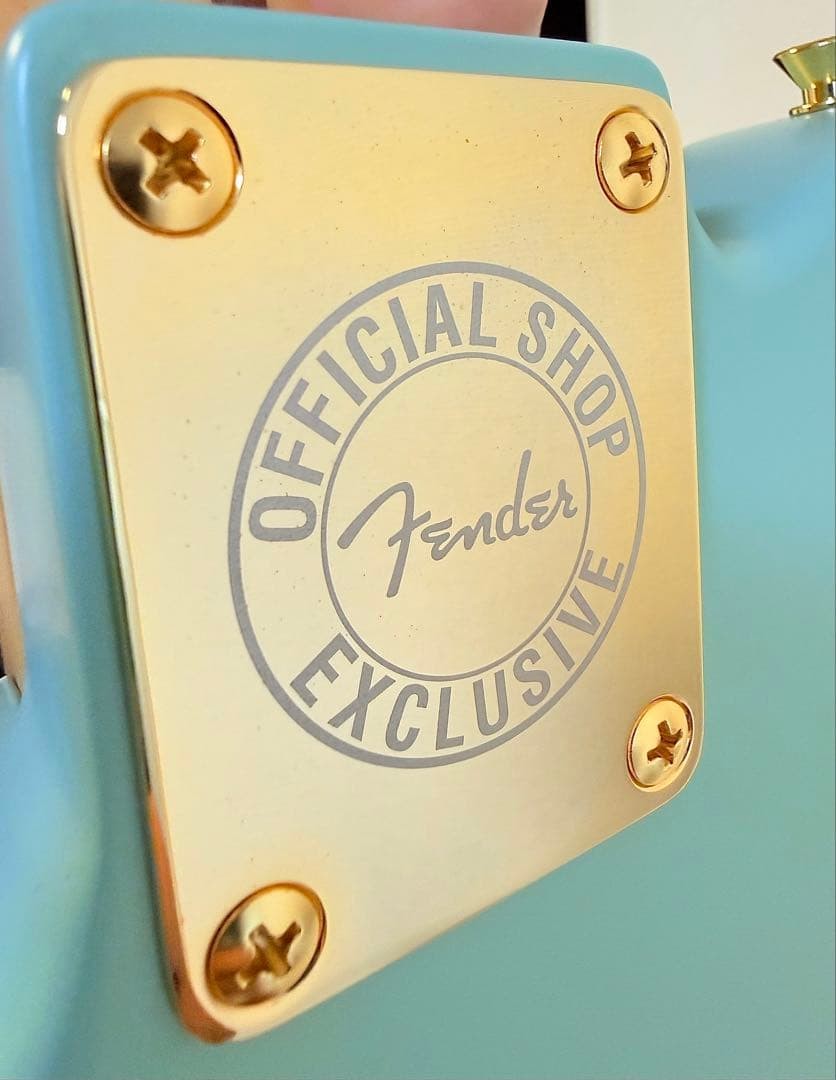 Fender Telecaster Thinline Harajuku Limited Gold Parts Kusumi No.MG293