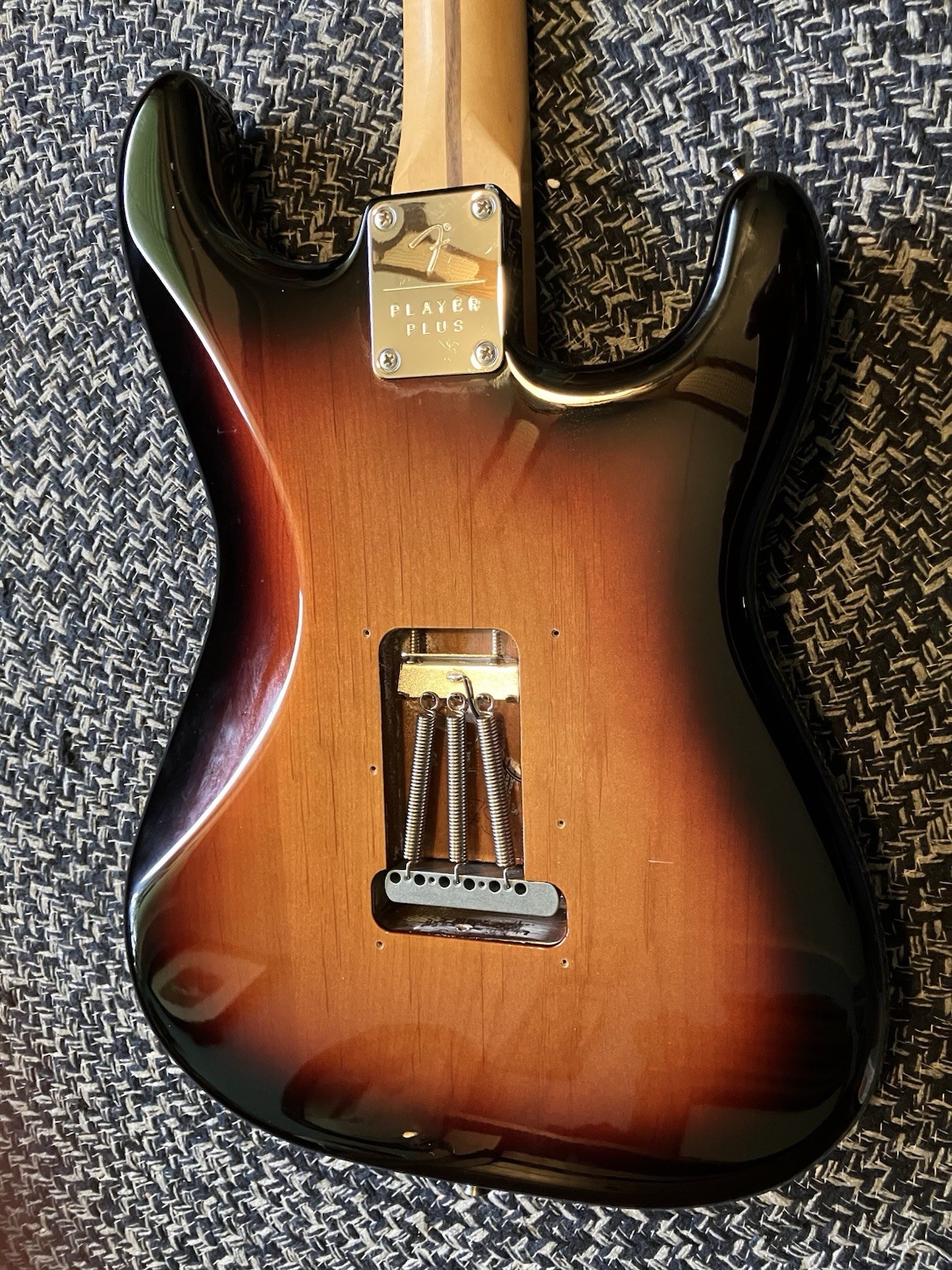 Fender Player Plus Stratocaster Electric Guitar 2023