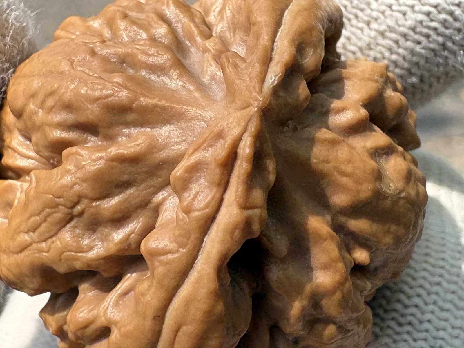 Hand Massage ball Wenwan walnut T-rex Thick Ridge Ba Wang Long Qiu Zi