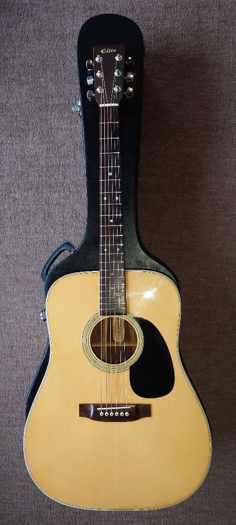 takamine Elite tw-30 acoustic guitar with hard case