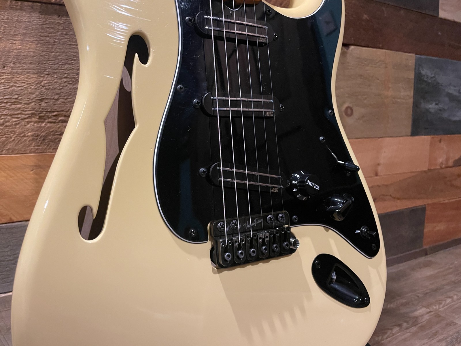 Fender Eric Johnson Thinline Stratocaster | Vega Trem Barden S-Style | MODS
