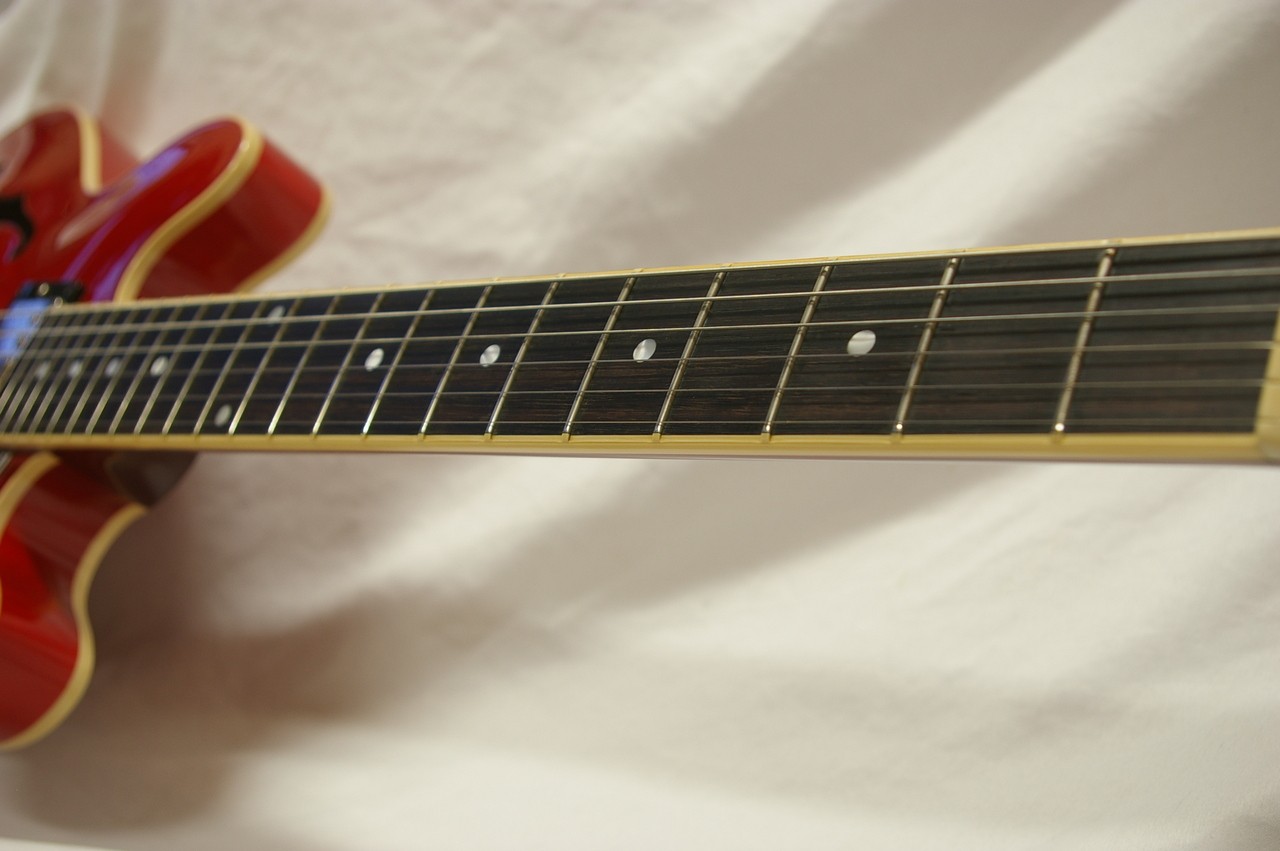Gibson ES-339 Semi Hollow Electric Guitar