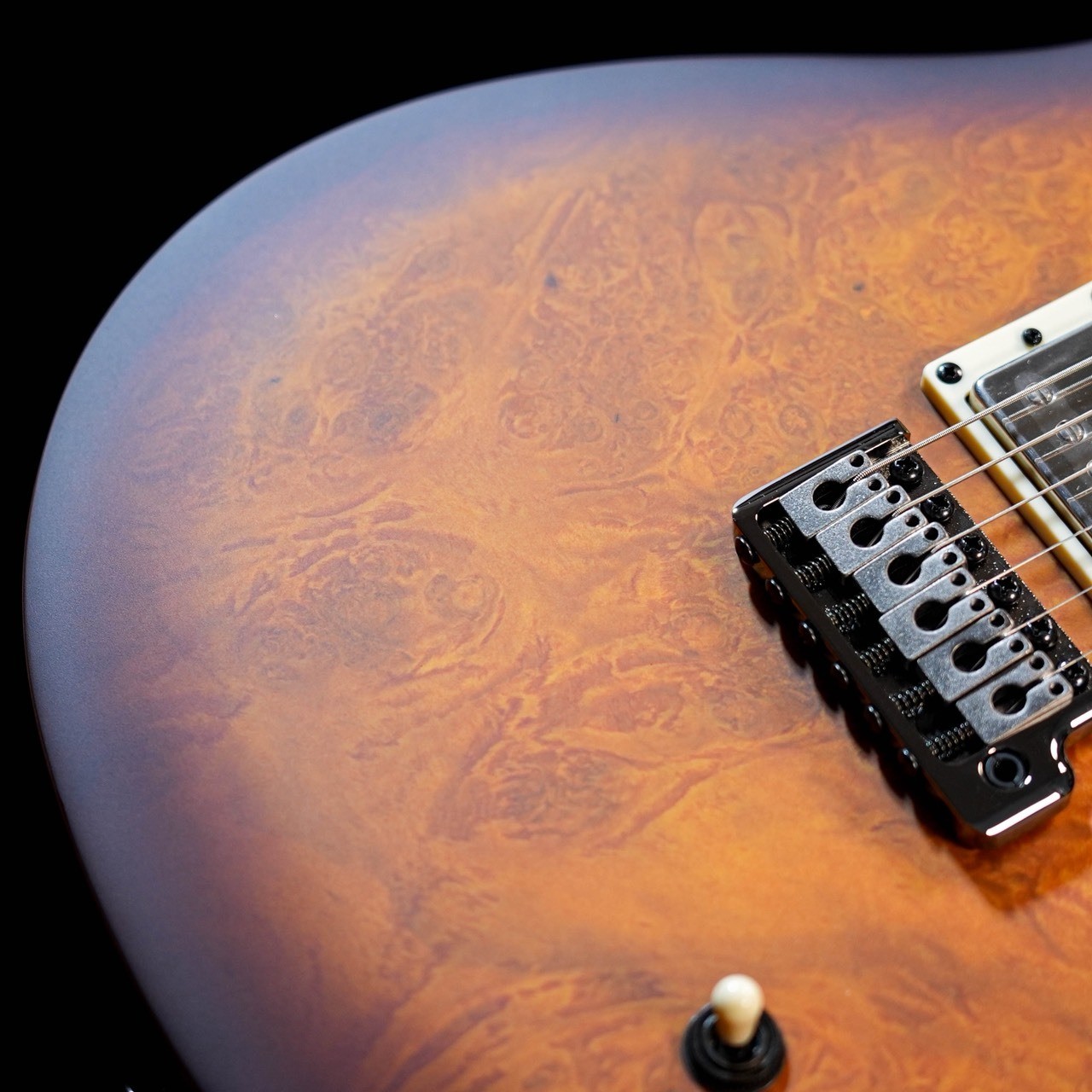 Paul Reed Smith Prs Se Dgt Laurel Burl Limited / Mccarty Tobacco Burst *Zr770