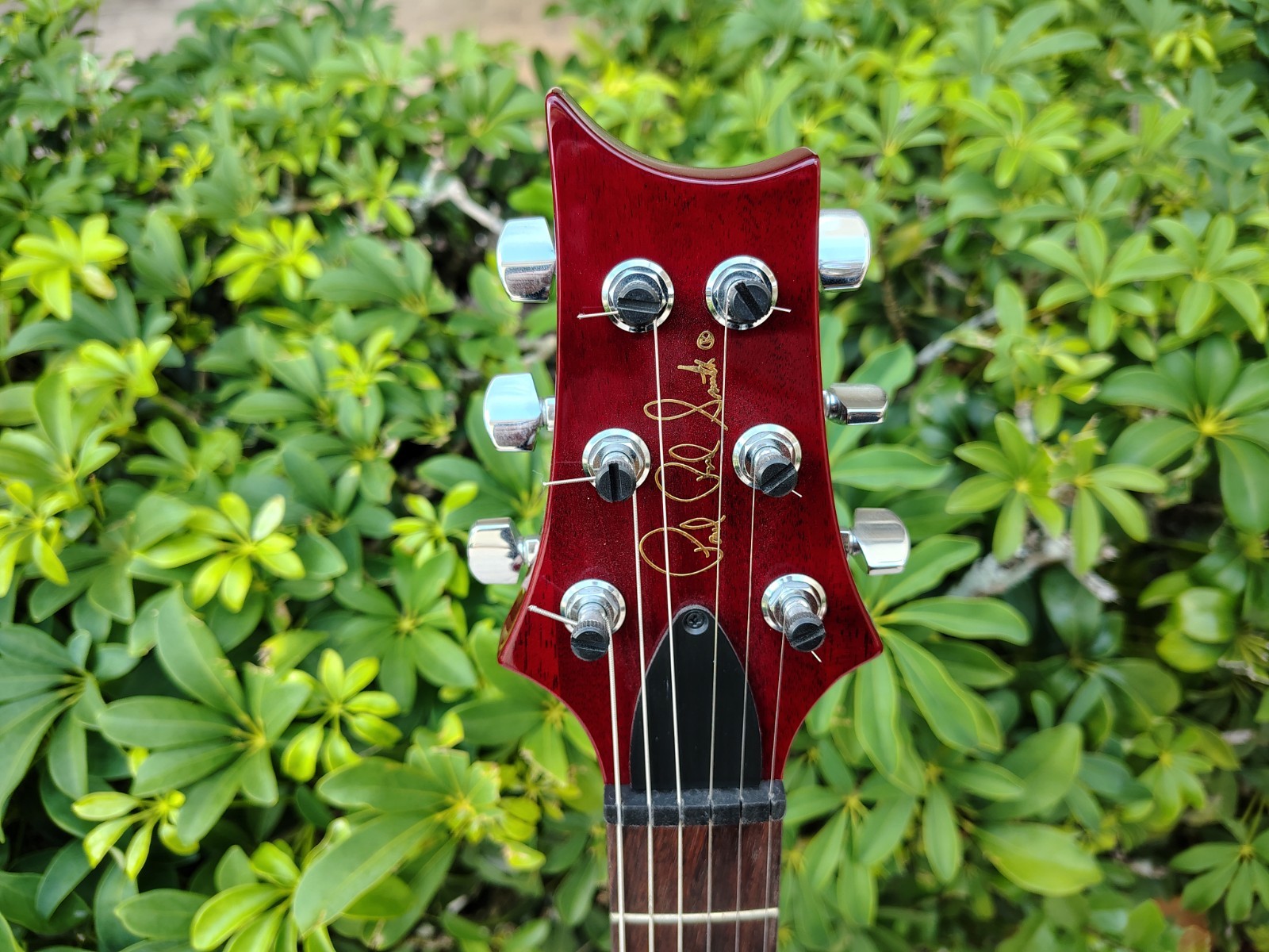 2003 PRS Singlecut Trem 10 Top Birds Black Cherry Pre-Lawsuit *UNPLAYED*