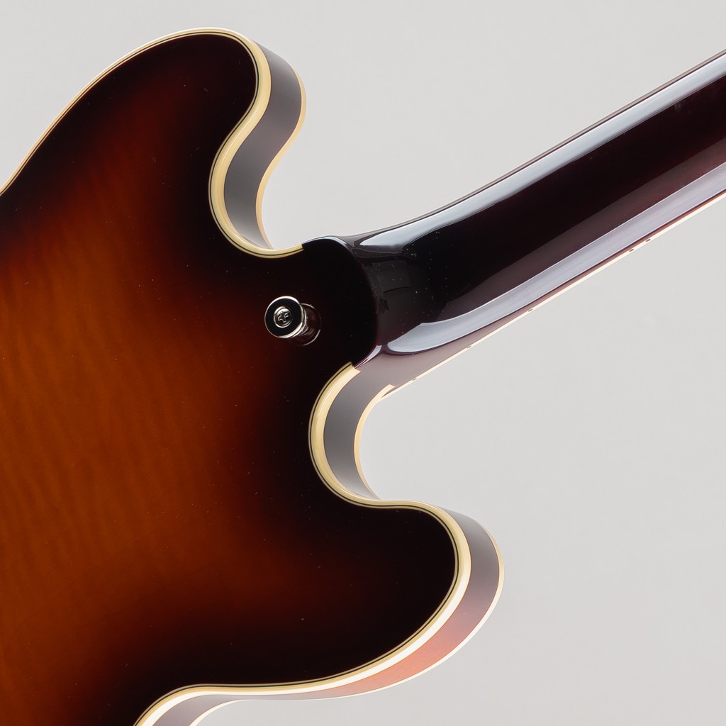 FUJIGEN(FGN) MSA-HP / Antique Sunburst #GGc5n