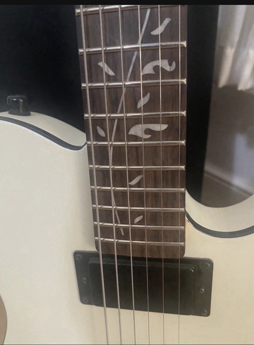 2022 Custom Fender Tele(parts)caster