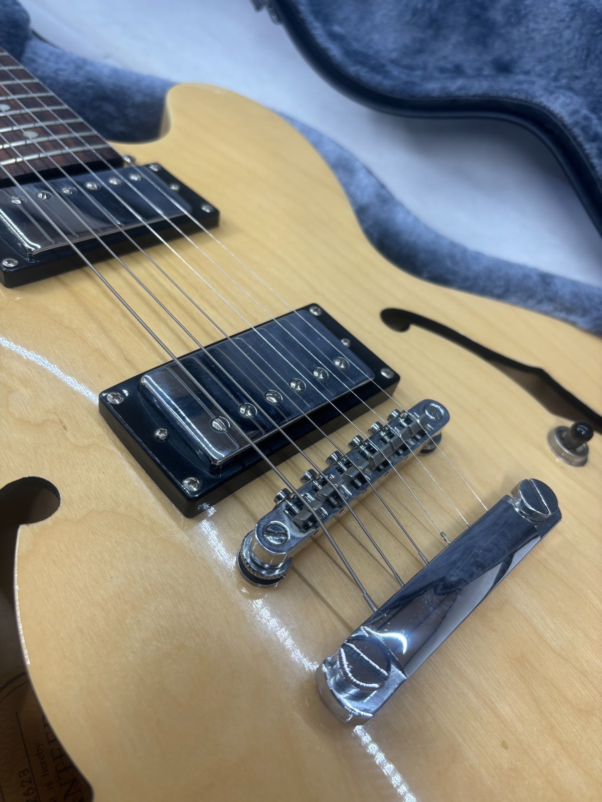 Epiphone Dot W/ Hard Case
