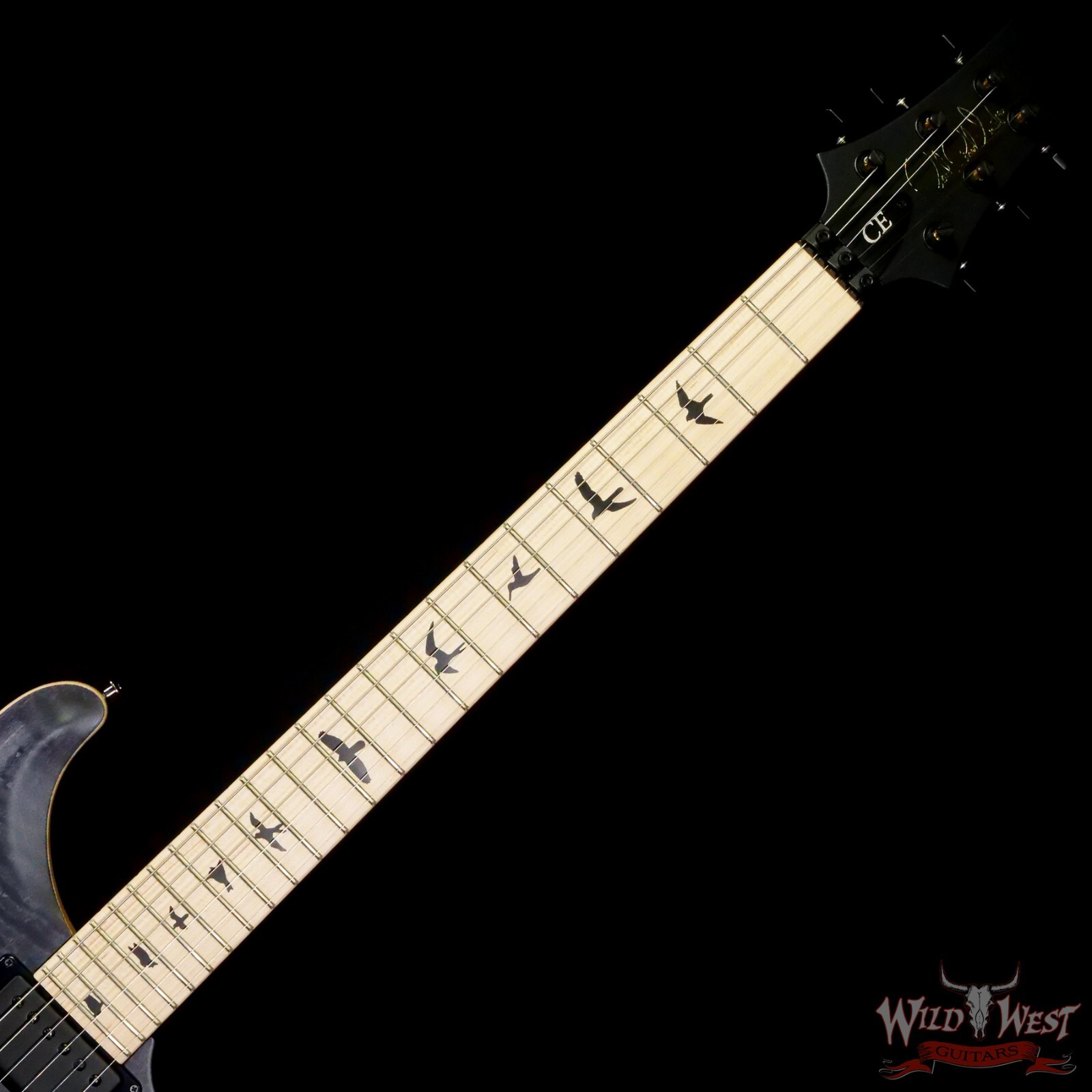 Paul Reed Smith PRS Dustie Waring Signature CE 24 Floyd Rose Gray Black