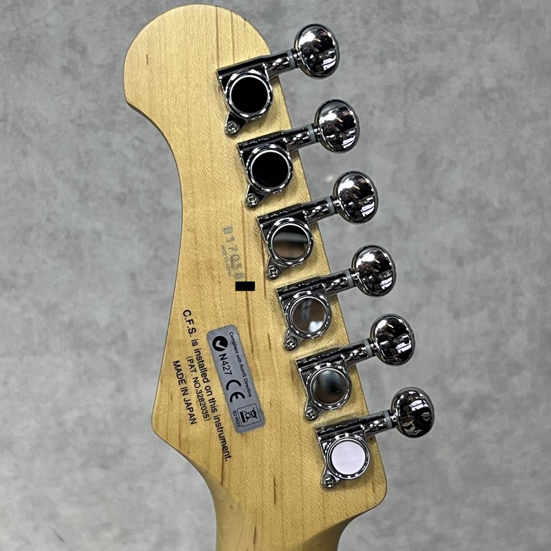 FUJIGEN (FGN) BCST10 (2017) (no260720)