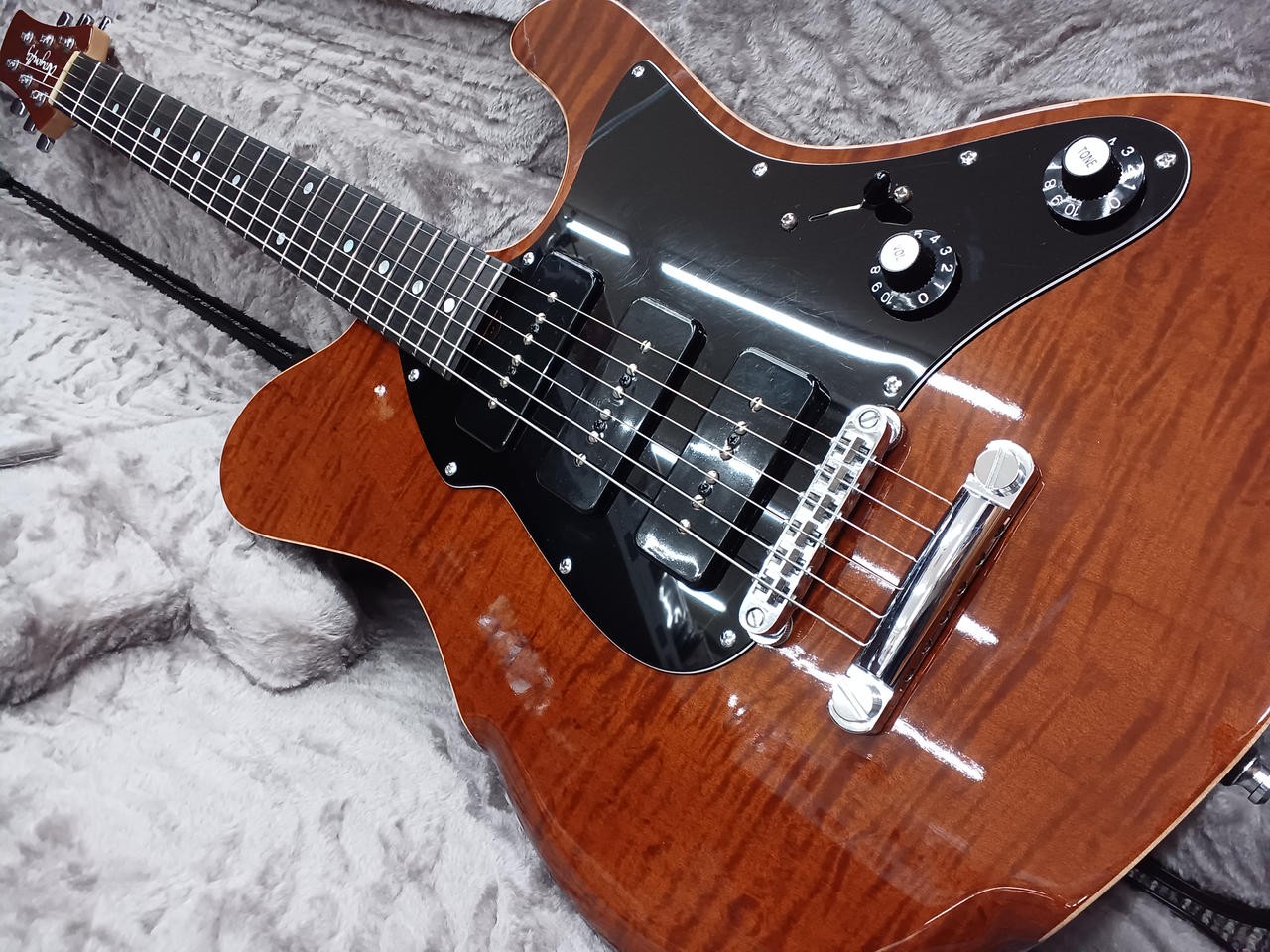 DRAGONFLY Border Custom 648 P-90 Electric Guitar